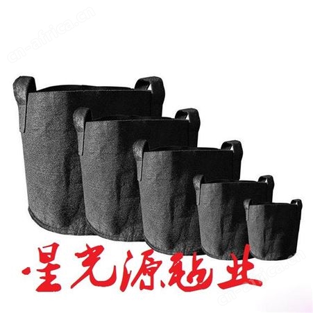 阳台墙体绿化袋毛毡植物袋， 育苗袋壁挂式无纺布毛毡种植袋