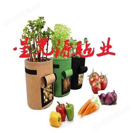 植物种植袋毛毡 黑色无纺布加厚美植袋 种植袋花盆