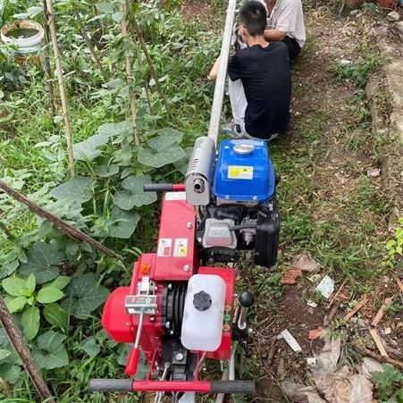 牵引式山地小火车 果园单轨运输车 山地轨道运输车