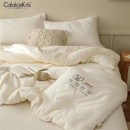 CaldiceKris 安适生态大豆被 CK-JF11009 美誉武汉礼品定制 广告礼品公司加盟 MY-SKWH-（T）-58