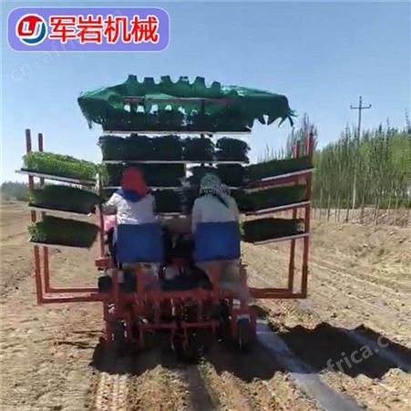 栽苗机 各种蔬菜移栽机 青州军岩机械 秧苗移栽机 蔬菜移栽机