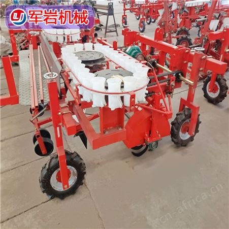 自走式秧苗移栽机 苗盘穴盘苗种植机 支持定制 军岩机械
