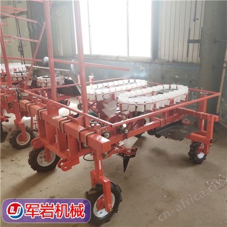 甘蓝种植机 辣椒栽苗机 番茄移栽机 订购定做 发货及时