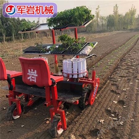 蔬菜移栽机 岩 娃娃菜种植机 玉米苗种植机 厂家