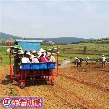 洋葱移栽机 军岩 6-12行洋葱移栽一体机 洋葱苗栽苗机 支持定制