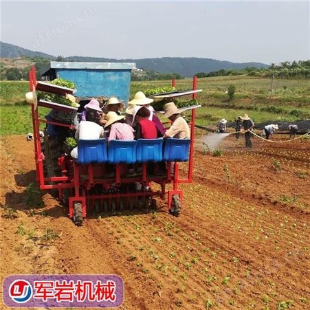 洋葱移栽机 军岩 6-12行洋葱移栽一体机 洋葱苗栽苗机 支持定制