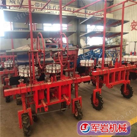 辣椒移栽机 岩 新鲜辣椒移植机 无籽辣椒移栽机 特惠来袭