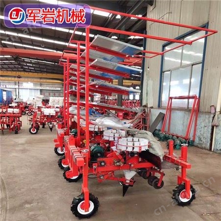 辣椒移栽机 西红柿蔬菜可用的移栽机 价格实惠  岩机械