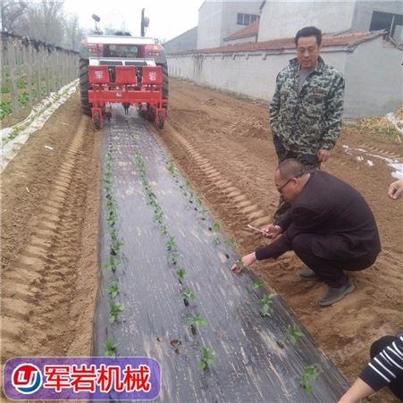 辣椒蔬菜移栽机_军岩_西兰花移栽机_2020新款支持定制