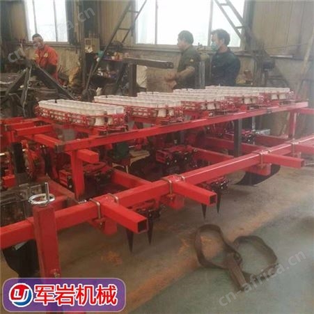 洋葱移栽机 军岩 6-12行洋葱移栽一体机 洋葱苗栽苗机 支持定制