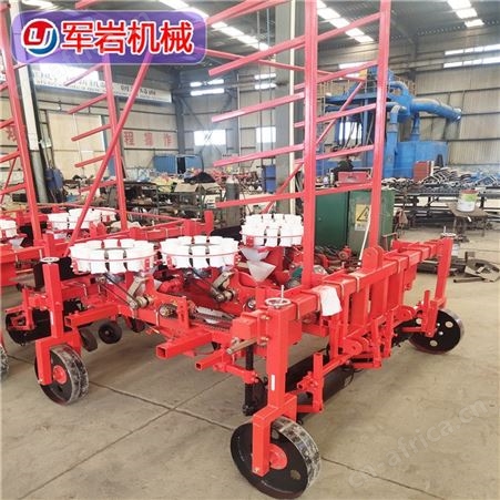 自走式秧苗移栽机 苗盘穴盘苗种植机 支持定制 军岩机械