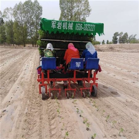 岩机械厂家三行秧苗移栽机 辣椒移栽机 蔬菜移栽机 甘蓝移栽机 货到付款