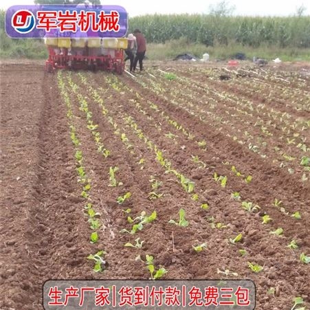 岩机械供应辣椒移栽机,娃娃菜移栽机,散花移栽机,蔬菜移栽机