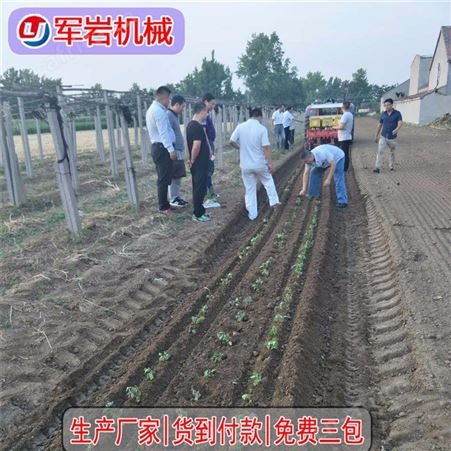 岩机械供应辣椒移栽机,娃娃菜移栽机,散花移栽机,蔬菜移栽机