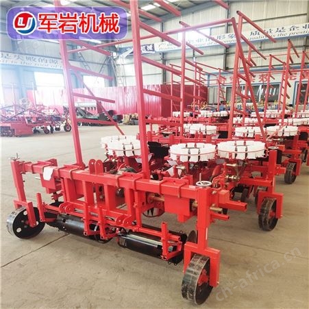 自走式秧苗移栽机 苗盘穴盘苗种植机 支持定制 军岩机械