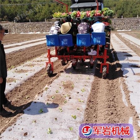 蔬菜辣椒移栽机 军岩 菊花栽苗机 菜花种植机 现货批发