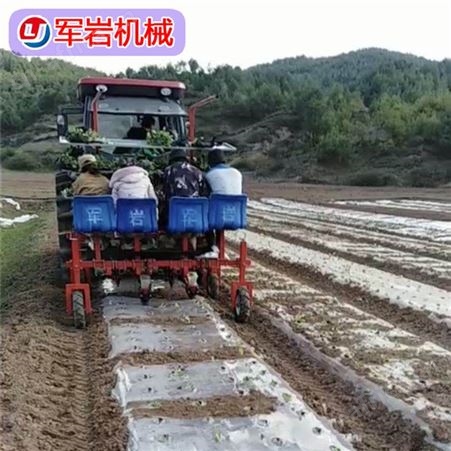 栽苗机 各种蔬菜移栽机 青州军岩机械 秧苗移栽机 蔬菜移栽机