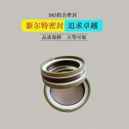 石油设备配件组合密封件DAS型A新尔特油封批量生产