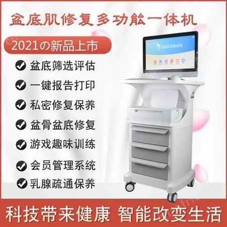 盆底肌修复仪 带电脑打印 女性保养修复仪