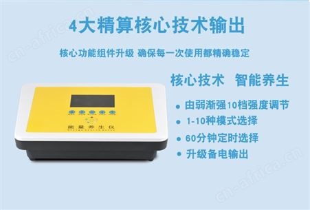 健康养生按摩器 能量养生仪 dds经络理疗疏通仪厂家