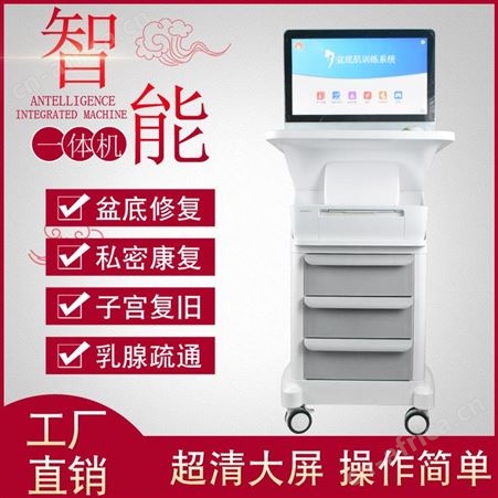 盆底肌修复仪 带电脑打印 女性保养修复仪