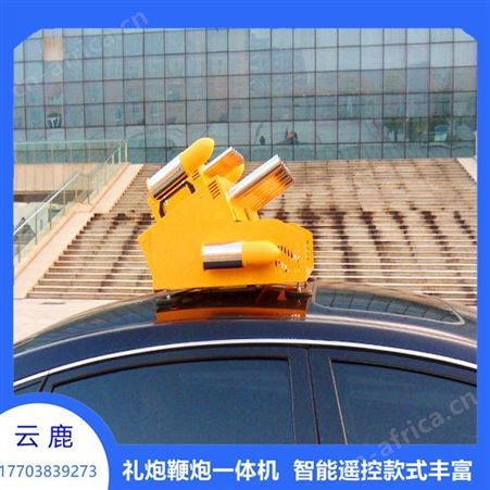 车顶电子礼炮 家用车载小型电子礼炮   12管家用电子礼炮厂家