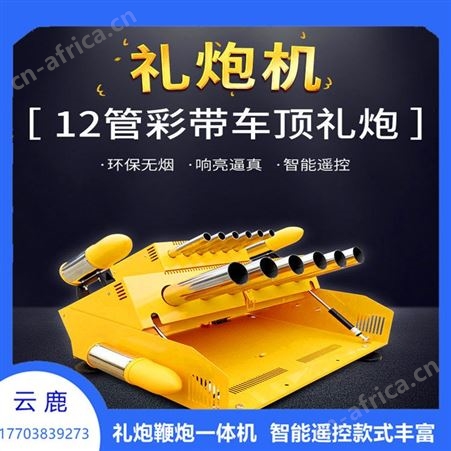 小型礼炮婚庆乔迁电子礼炮 安全环保鞭炮礼炮一体机 生产厂家
