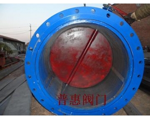 自动反冲洗过滤器