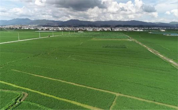 测土配方施肥仪