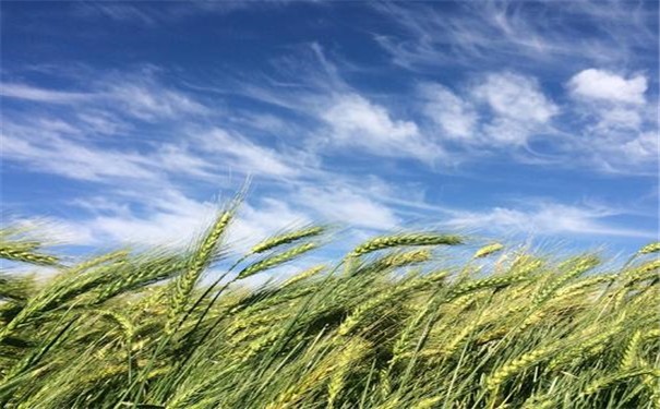 土壤测土配方施肥仪