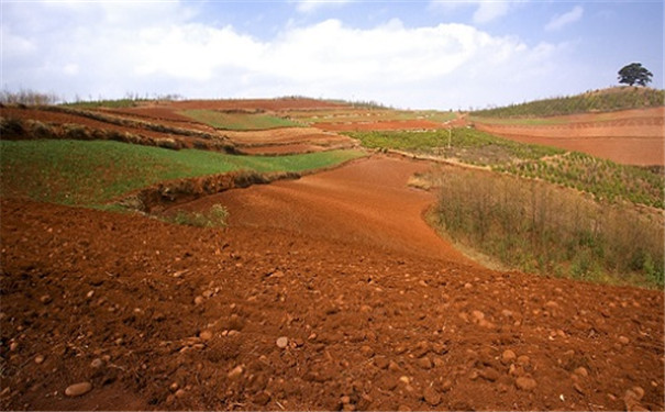 土壤温湿度检测仪