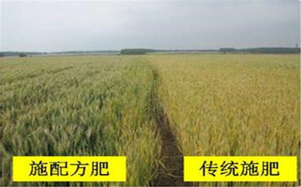 高精度土壤测试仪