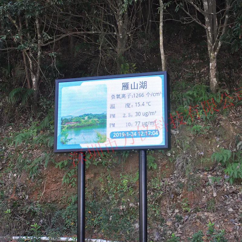 负离子在线监测系统