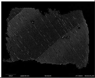 新品发布——英国Geotek高分辨率柱塞样品CT扫描系统问世(NeoScan S80)(图11) 新品发布——英国Geotek高分辨率柱塞样品CT扫描系统问世(NeoScan S80)(图11)