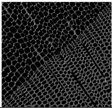 新品发布——英国Geotek高分辨率柱塞样品CT扫描系统问世(NeoScan S80)(图12) 新品发布——英国Geotek高分辨率柱塞样品CT扫描系统问世(NeoScan S80)(图12)