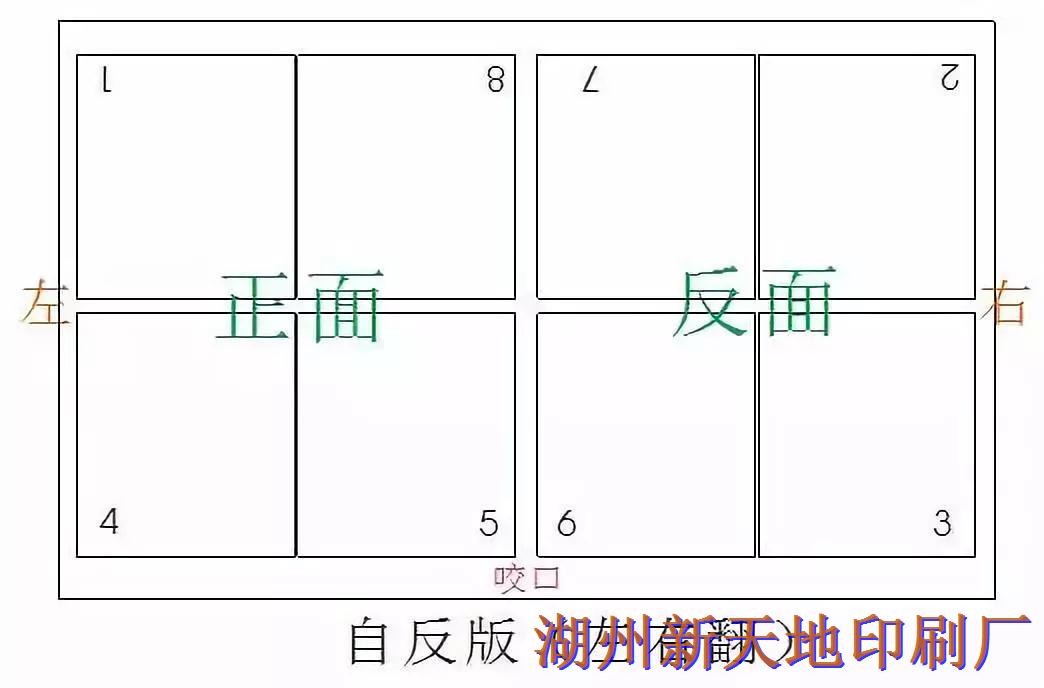 湖州新天地印刷咬口