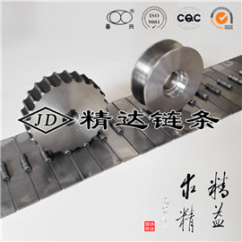 不锈钢输送链条 不锈钢输送链条