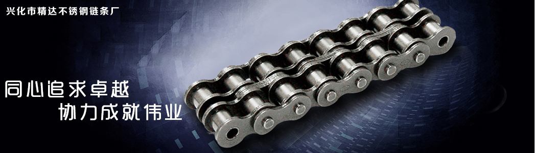 不锈钢输送链条