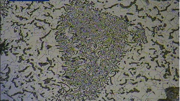 1587626872219999.jpg 6.jpg