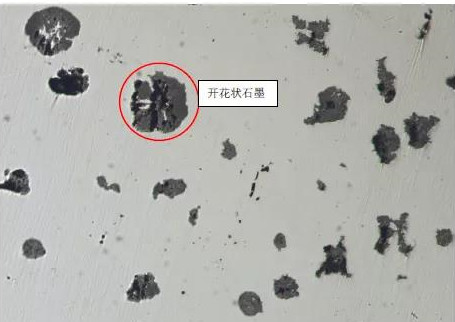 1587627022876588.jpg 8.jpg