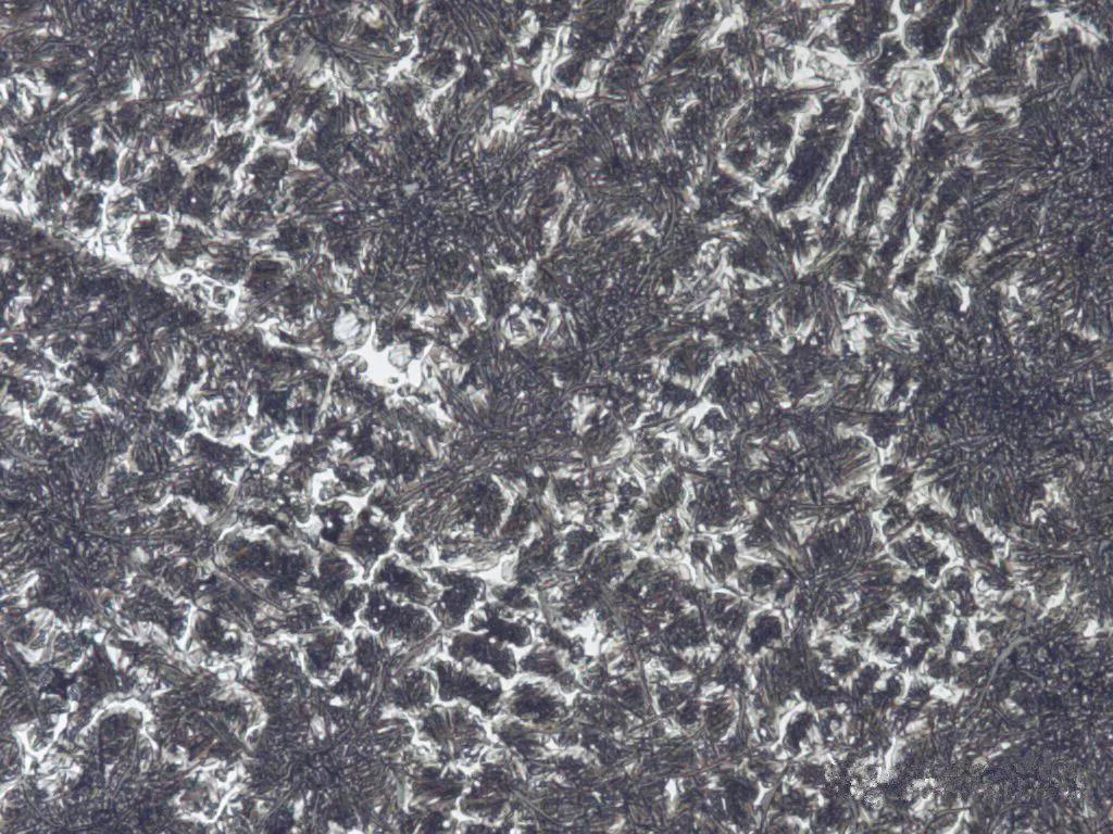 1587627544223189.jpg 25.jpg