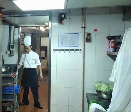 厨房壁挂式高灵敏燃气报警器 厨房壁挂式高灵敏燃气报警器