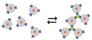 台式小核磁-磁性纳米传感器快检技术 台式小核磁-磁性纳米传感器快检技术